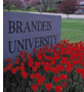 brandeis_univ