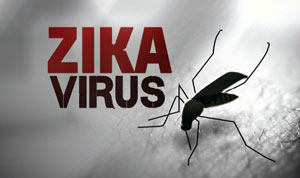 zika1