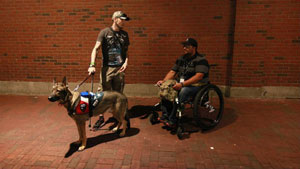 veteranserviceanimal08142015getty