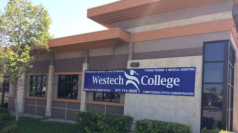 la-1491253327-jf95qienzg-snap-image