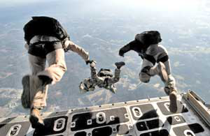 seals-diving-630&times;409