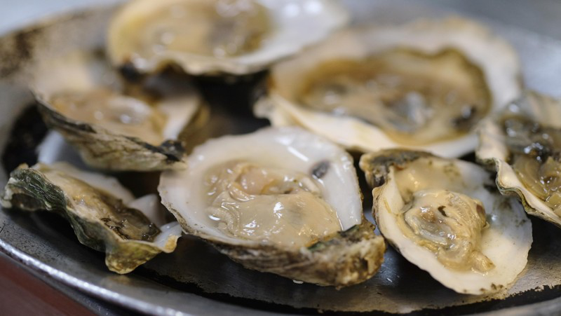 oysters