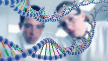 Genetic Health Risks