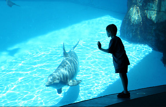 New Orleans Aquarium