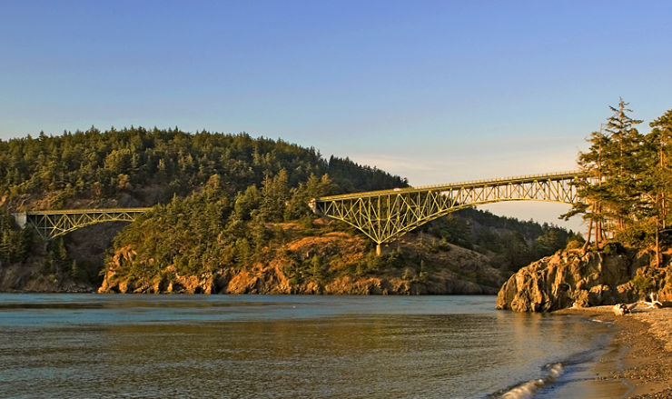 Seal Training in Parks