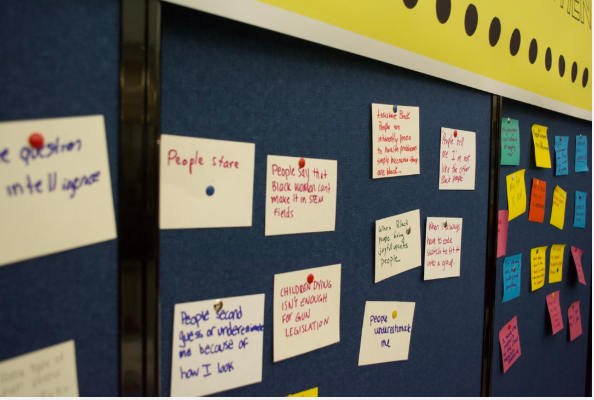 Student Minority Healthcare