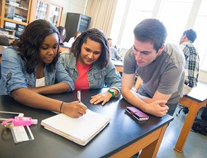 Students discuss a class project.