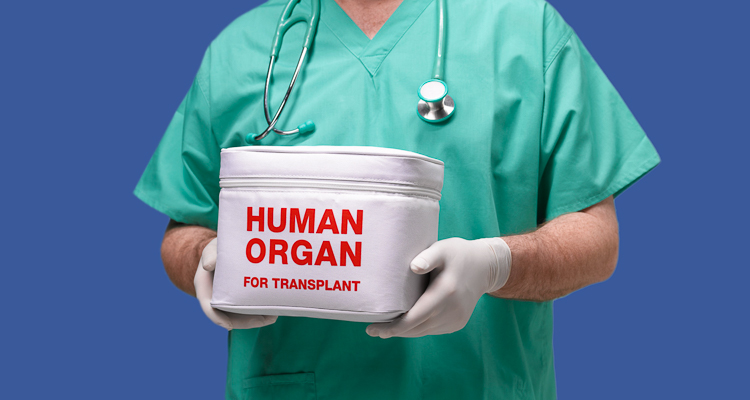organ-donors