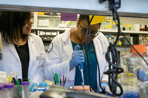 CUNY School of Medicine 2