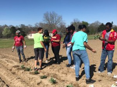 Students tending the Tuskegee Wesley Garden.
