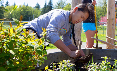 Campus-Gardens2Small