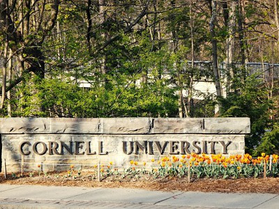 cornell-university