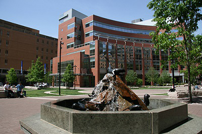 Jefferson University