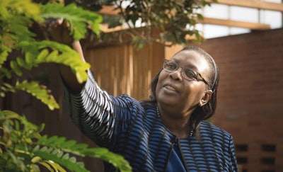 Dr. Dorceta Taylor