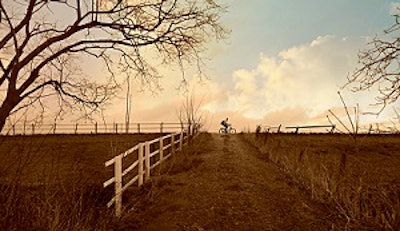 Landscape 4972789 300