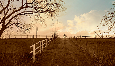 landscape-4972789_640