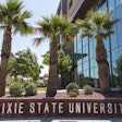 Dixie State Palm Tree Pic