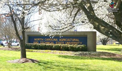 N c At State University E1612221963795