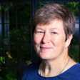 Dr. Paula O’Loughlin