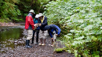 Michigan State researchers study a riverbed ecosystem in Alaska.