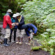 Michigan State researchers study a riverbed ecosystem in Alaska.