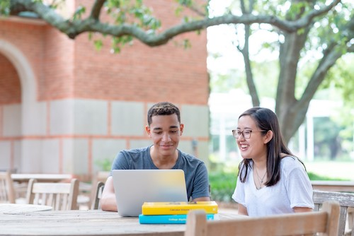 Open Stax Story Picture