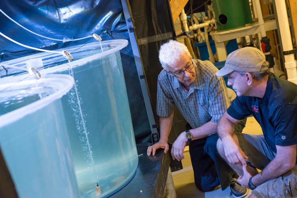 Yonathan Zohar, left, and Jorge Gomezjurado at IMET aquaculture research facility in 2016.