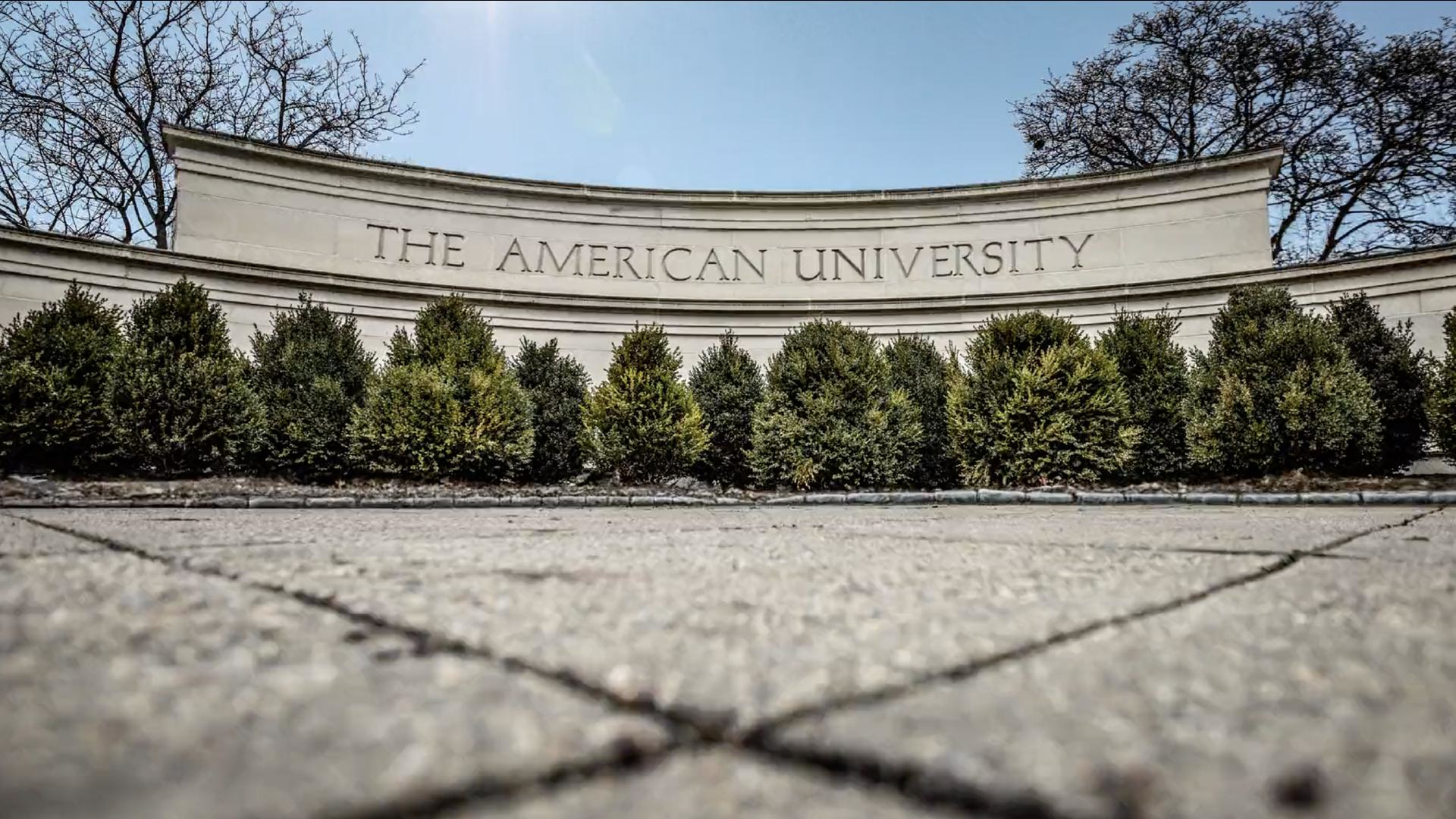 American University