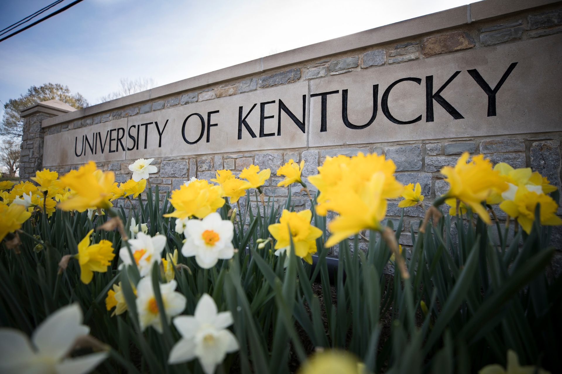 University Of Kentucky
