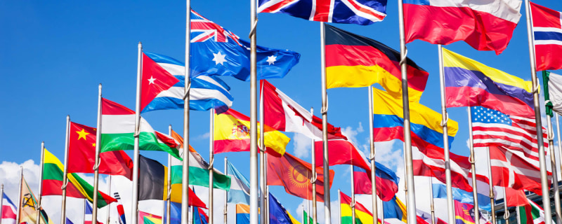 International Flags College Enrollment 3848991497