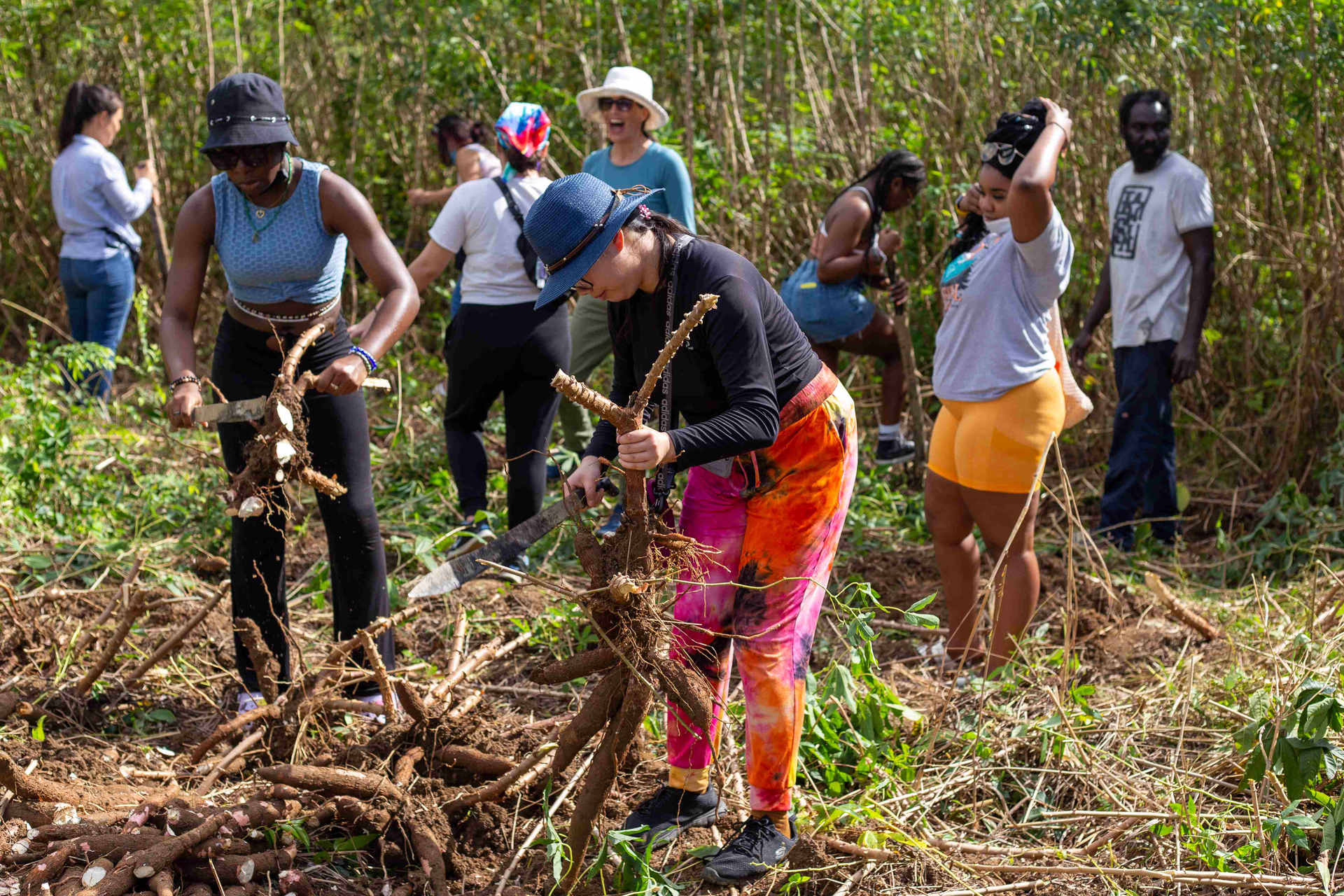 Students visit Sabal&rsquo;s Cassava Farm in Belize in March 2022