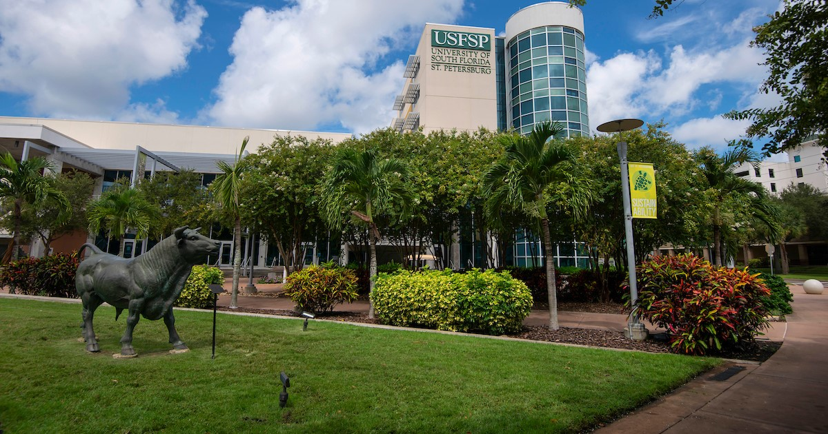 University Of South Florida