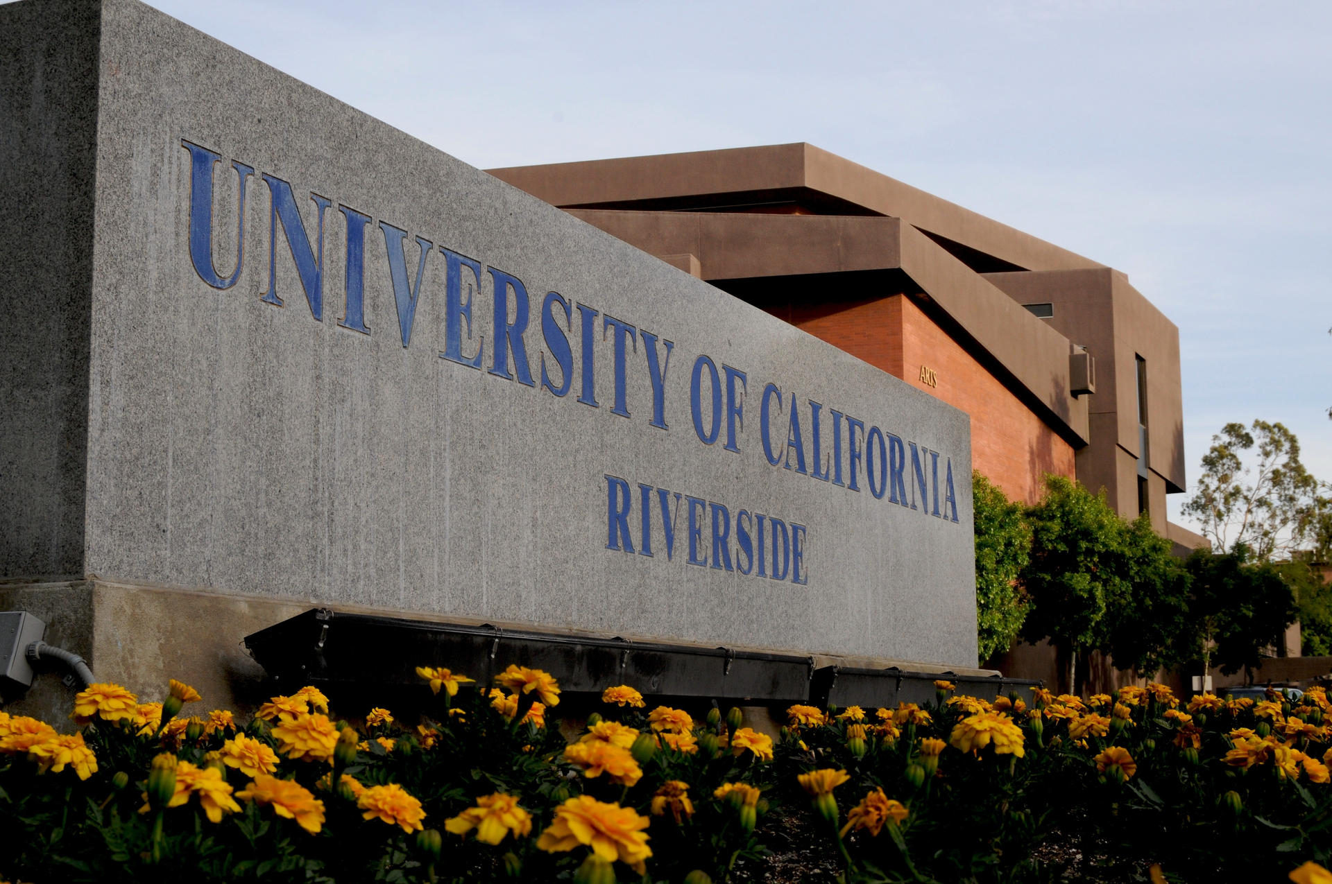Uc Riverside