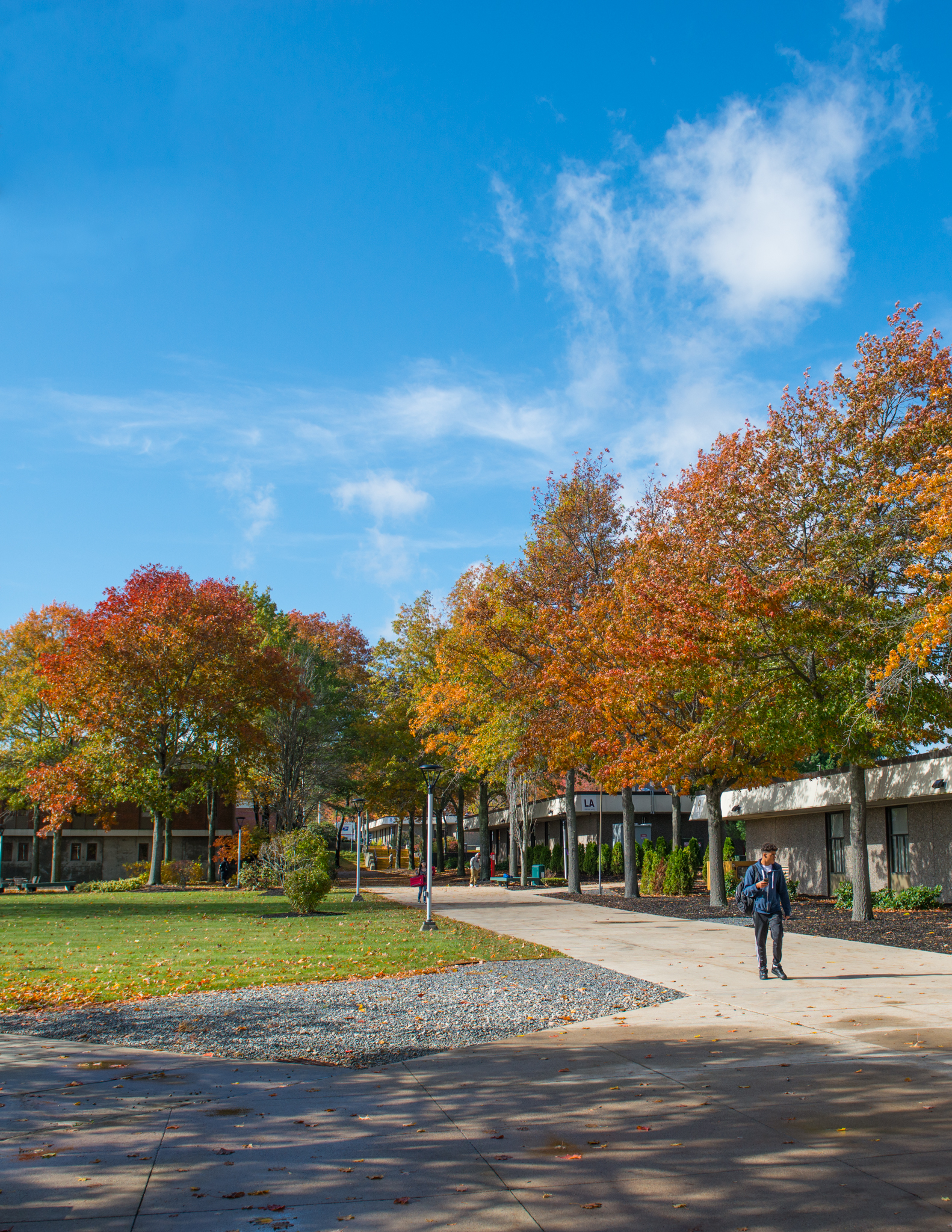 Massasoit Community College is officially offering a Black Studies curriculum.