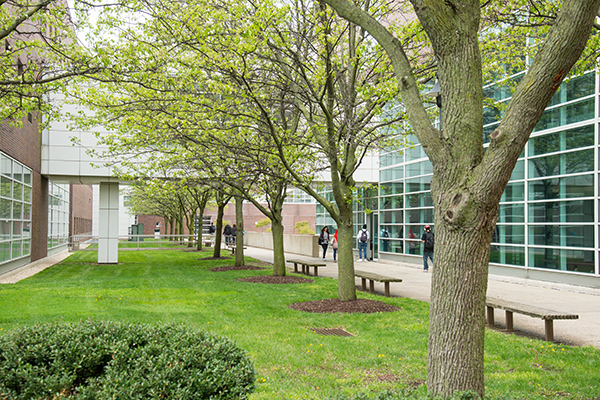 Nassau Community College