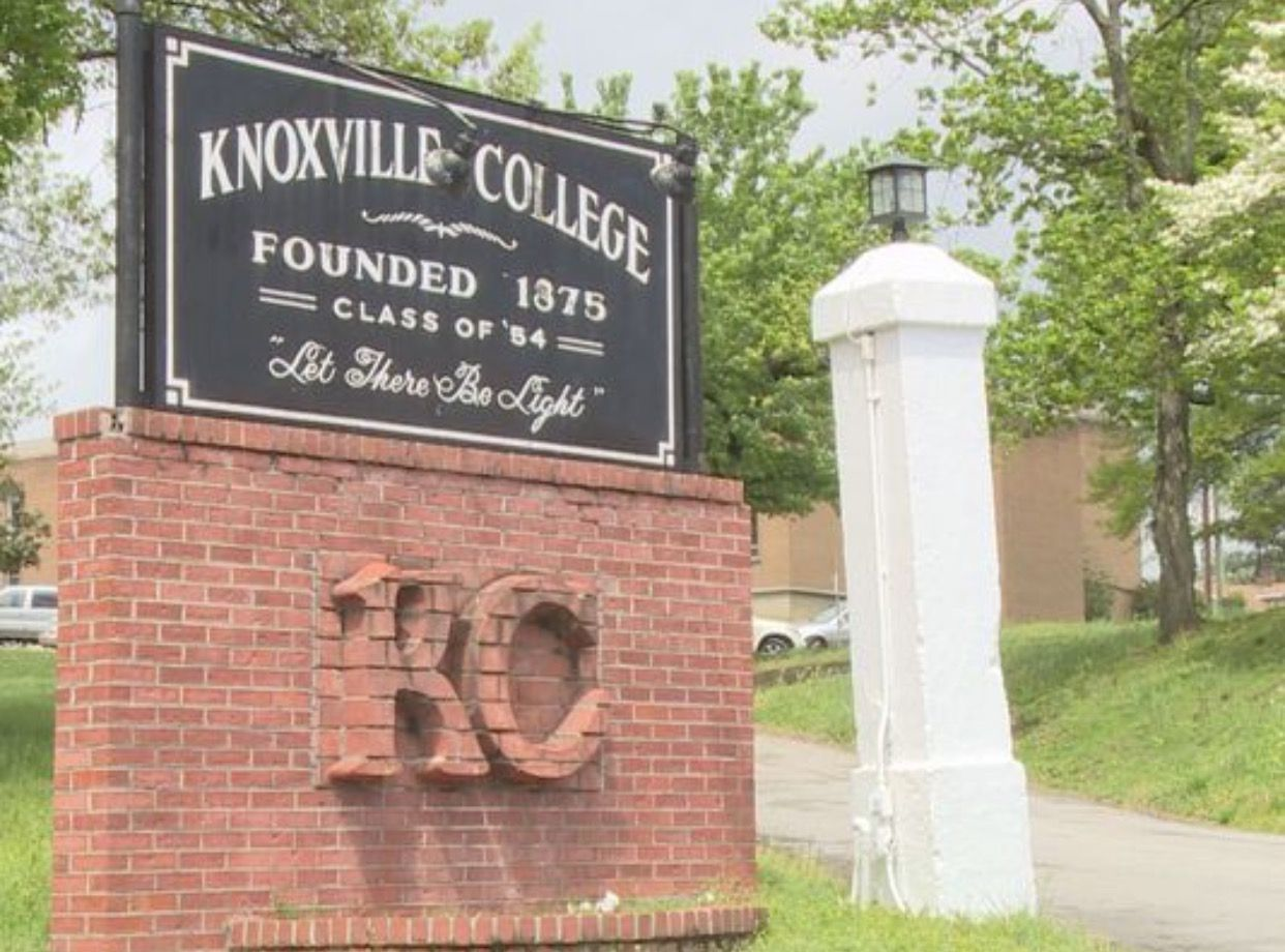 774e11665dbbab3ed146dba29c52e990 (1)