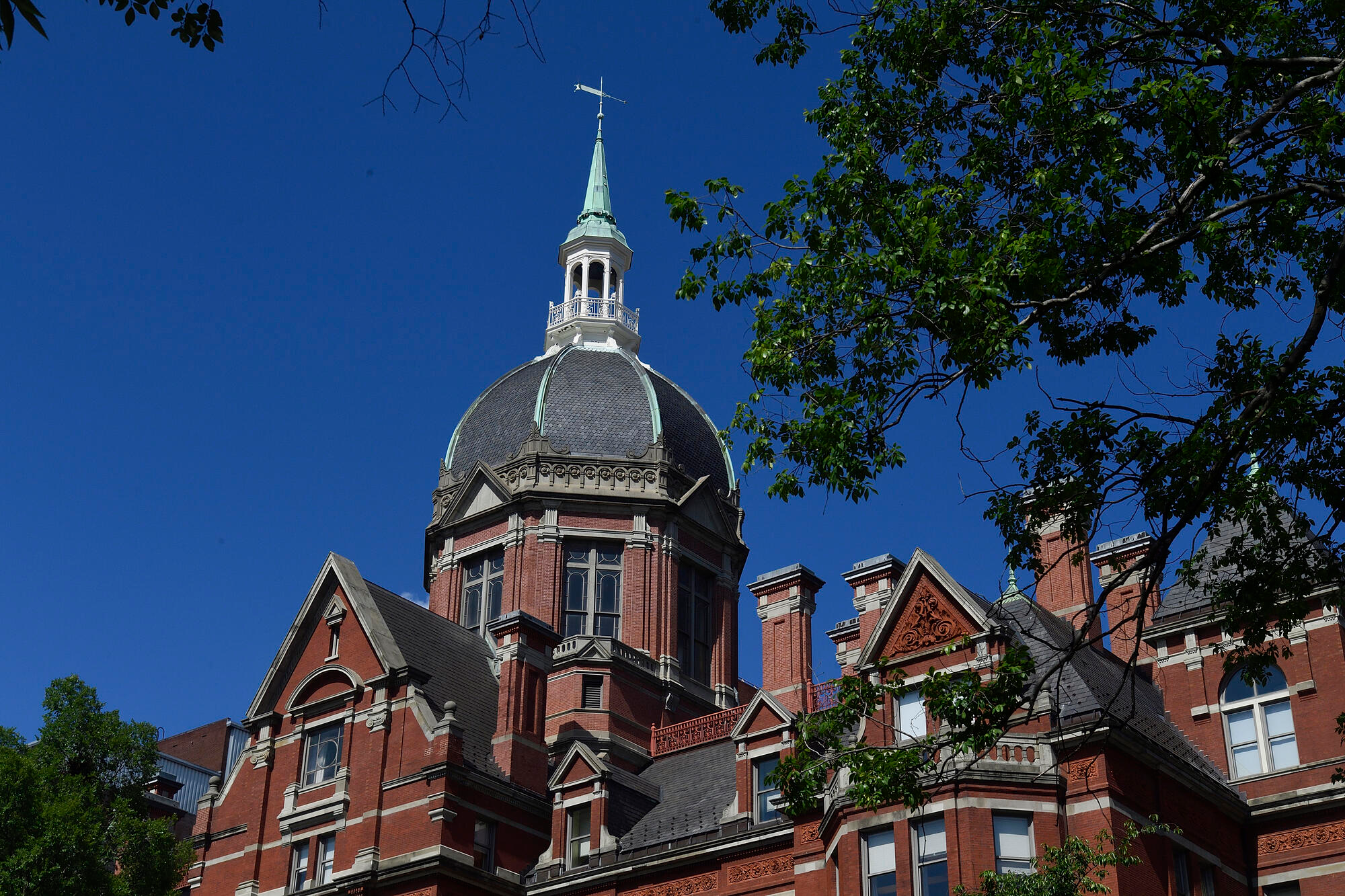 Johns Hopkins University