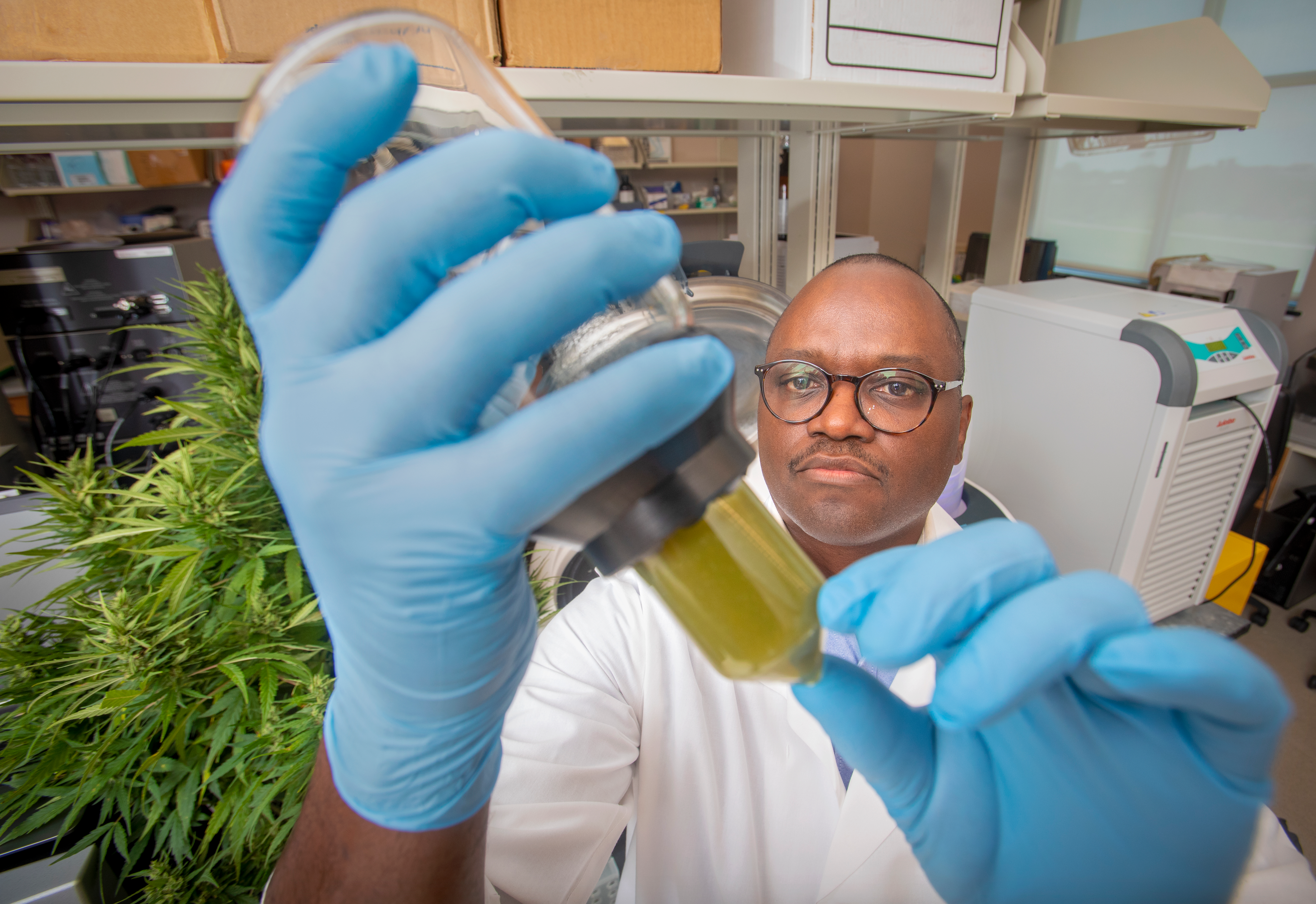 Dr. Leonard Williams, the director and professor of food safety and microbiology at N.C. A&T Center for Excellence in Post-Harvest Technologies, is working on developing an all-natural, antiviral disinfectant with promising results in controlling the spread of SARS-CoV-2.