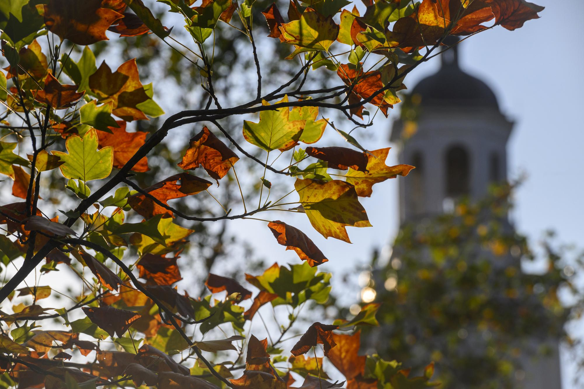 Johns Hopkins University Gilman Clock Tower