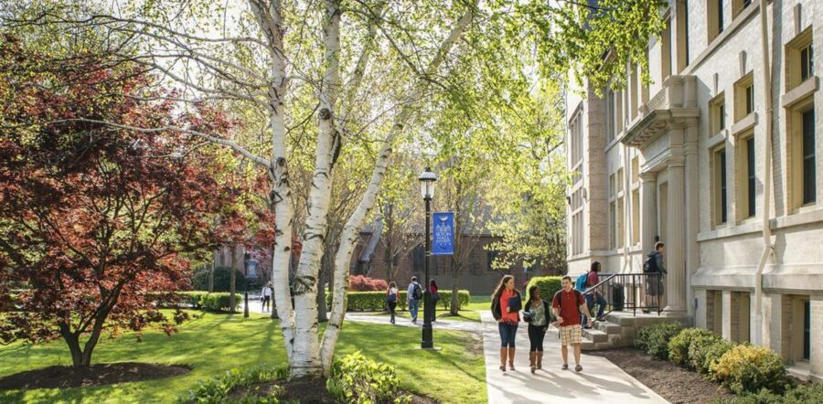 1698846011041 900x442