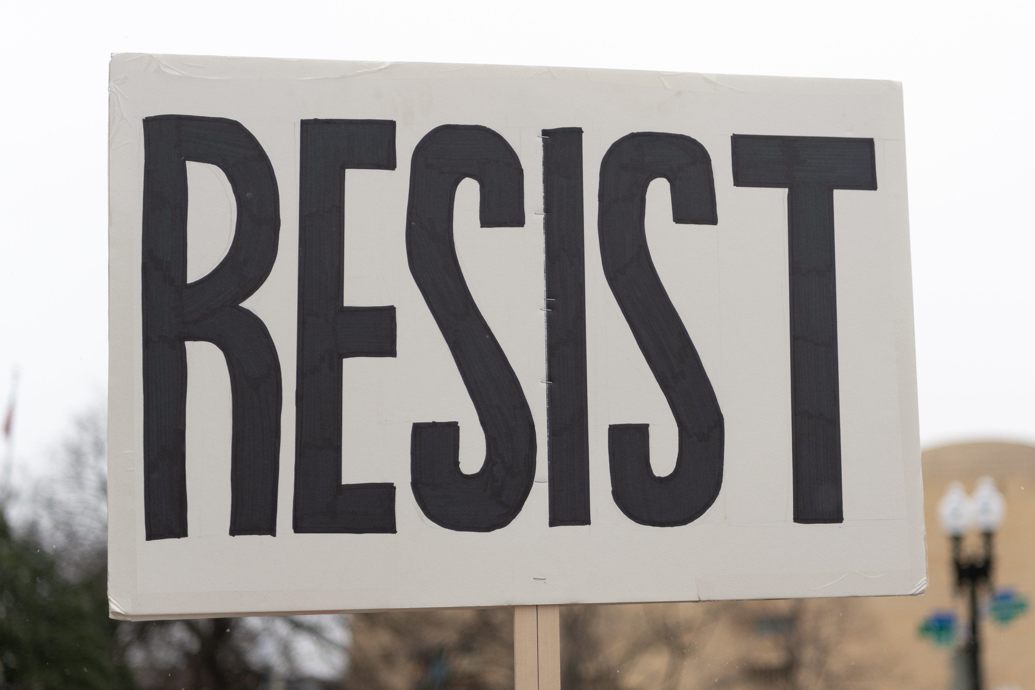 54338889510 0edf4b6617 K