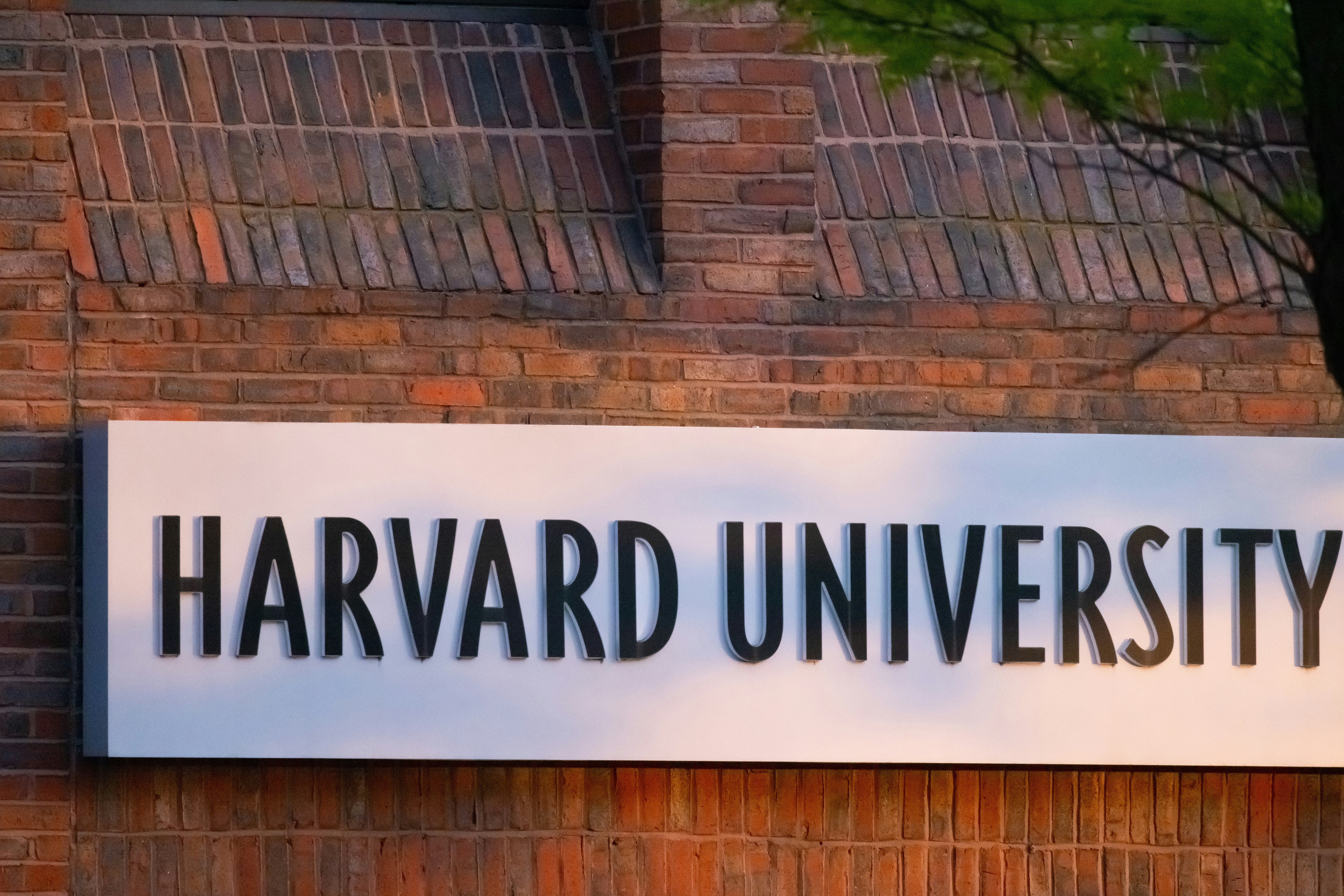 Harvard University Sign