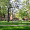 Harvard University