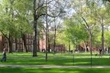 Harvard University