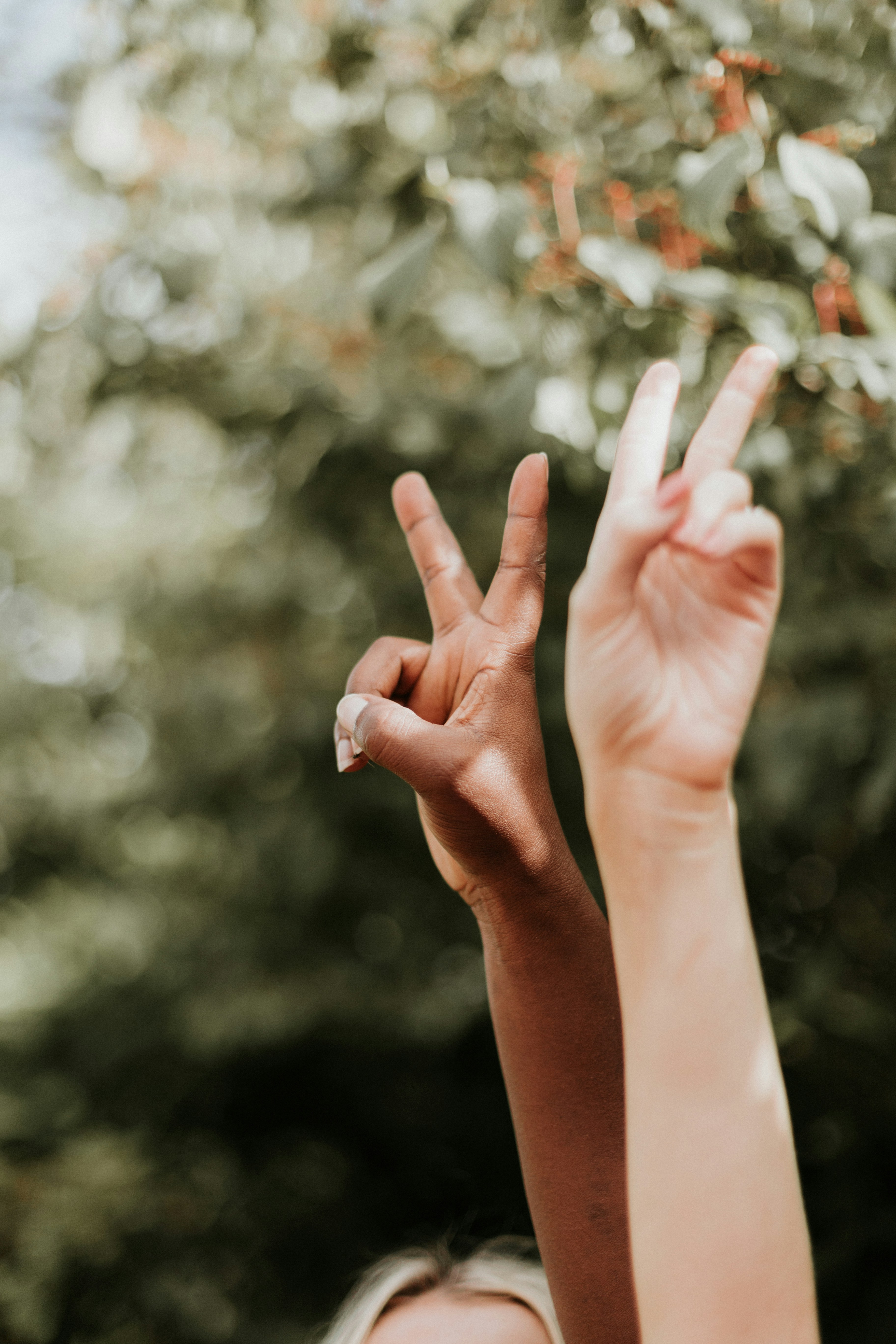Priscilla Du Preez Wf3p6 Jwdw6 Q Unsplash