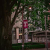 Will Colavito Qa T130g Z4 Ky Unsplash