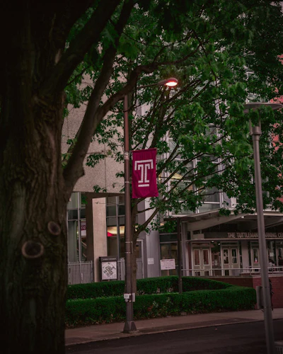 Will Colavito Qa T130g Z4 Ky Unsplash
